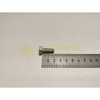 Болт М8*1,25*20 кронштейна бампера ВАЗ (БелЗАН)(уп. 20 шт)