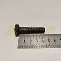 Болт М10*1,25*45 раздатки 2121 (10,9) (РЗИ)(уп. 10 шт)