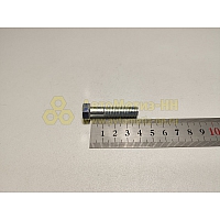 Болт М10*1,5*40 кронштейна двигателя (Кр.Этна)(уп. 10 шт)