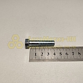 Болт М10*1*41 кардана МАЗ гол. (РЗИ)(уп. 10 шт)