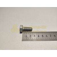 Болт М10*1,25*25 звездочки р вала, суппорта 2101 (БелЗАН)(уп. 10 шт)