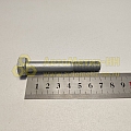 Болт М10*1,25*70 кронштейна растяжки (8,8) (РЗИ)(уп. 10 шт)