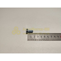 Болт М8*1,25*16 петли капота, кроншт.генератора 2101 (БелЗАН)(уп. 20 шт)