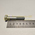 Болт М10*1,25*55 кроншт.генератора (8,8) (РЗИ)(уп. 10 шт)
