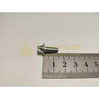 яяБолт М6*1*14 крепления датчика скорости КАЛИНА (БелЗАН)(уп. 50 шт)