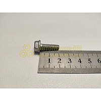 Болт М6*1*20 с фланцем (8.8) (Крепёж Машин)(уп. 20 шт)