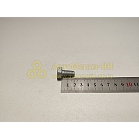 Болт М10*1,25*20 крепления кроншт.генератора ВАЗ (БелЗАН)(уп. 10 шт)