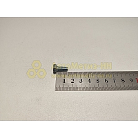 Болт М6*1*14  (Кр,Этна)(уп. 20 шт)
