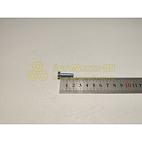 Болт М6*1*20 брызговика (Кр,Этна)(уп. 20 шт)