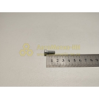 Болт М6*1*16 поддона картера ВАЗ (БелЗАН)(уп. 20 шт)