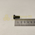 Болт М8*1*16 верхнего шарнира 31105 (РЗИ)(уп. 20 шт)