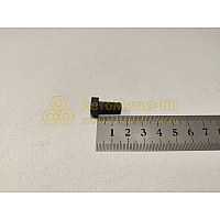 Болт М8*1*16 верхнего шарнира 31105 (Кр.Этна)(уп. 20 шт)