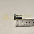 Болт М10*1*20 опоры мех-зма боковой двери (РЗИ)(уп. 10 шт)