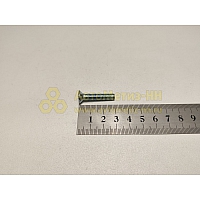 Винт М6*1*30 потай. крест. (БелЗАН)(уп. 20 шт)