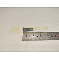 Винт М8*1,25*30 потай. крест.  (БелЗАН)(уп. 20 шт)