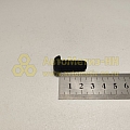 Болт М10*1,5*25 крепления усилителя блока цилиндровдв. Cummins 4ISBe ПАЗ,