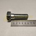 Болт М20*2,5*60 (8.8)(уп. 10 шт)