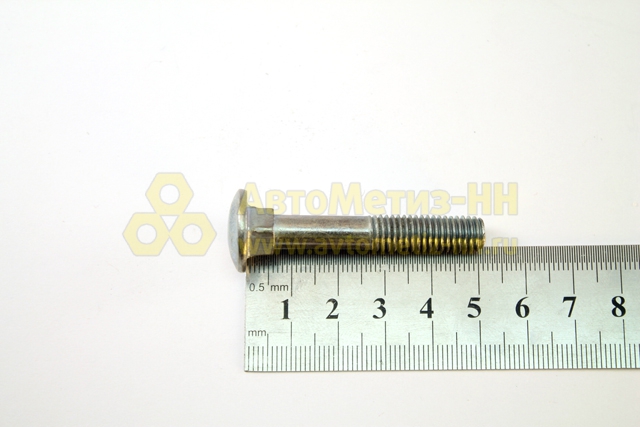 Болт М8*1,25*50 кузовной (Кр.Этна)(уп. 20 шт) для \"ГАЗ\" купить в ...